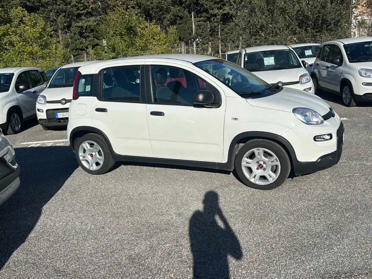 Fiat Panda usata a Roma (6)
