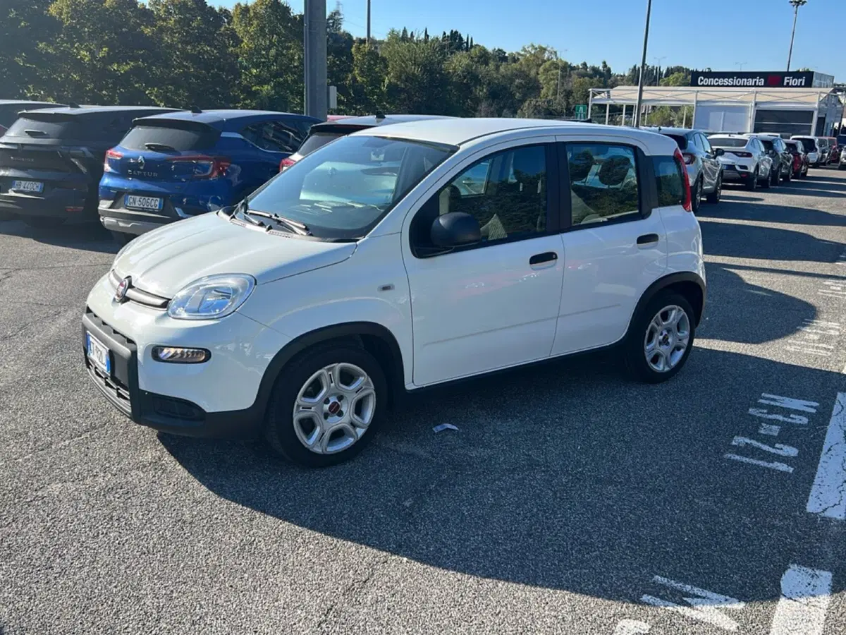 Fiat Panda usata a Roma (8)