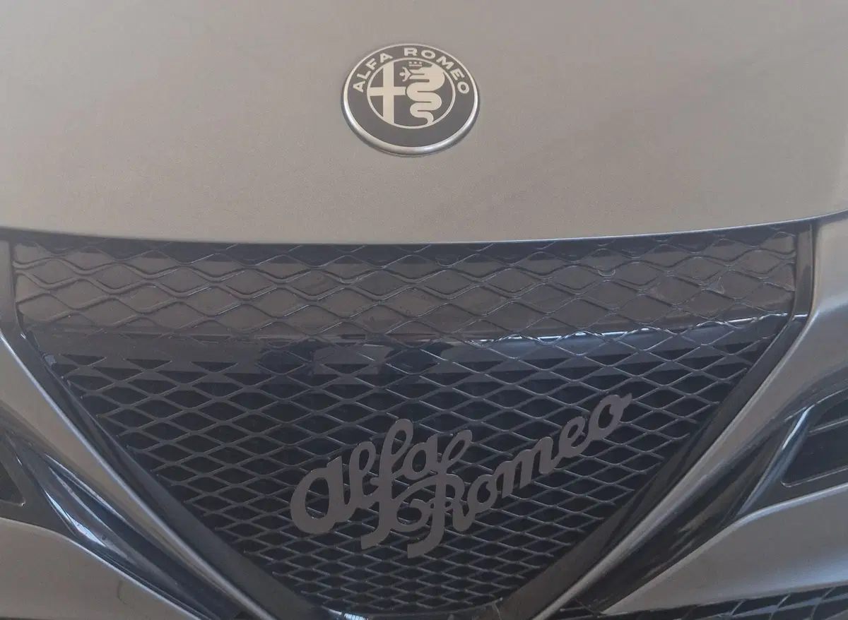 Alfa Romeo Junior nuova a Terni (19)