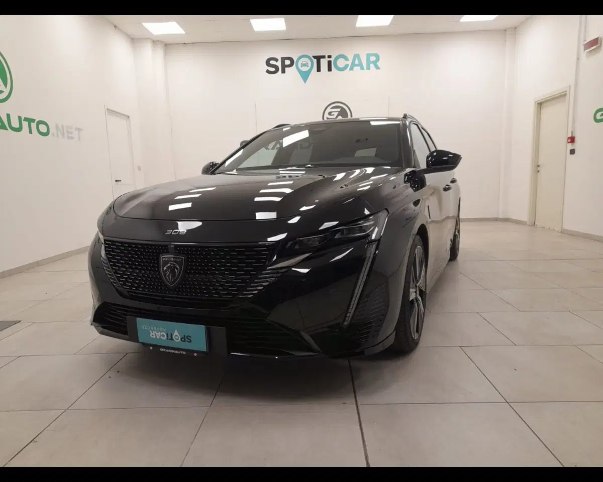 Peugeot 308 SW usata a Alessandria (2)