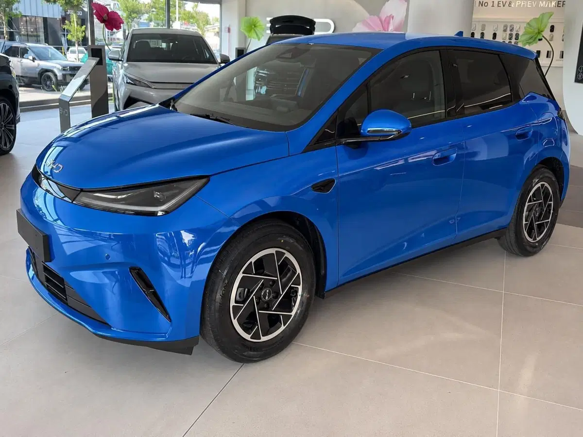 Byd Dolphin G DM-i nuova a Bologna (4)
