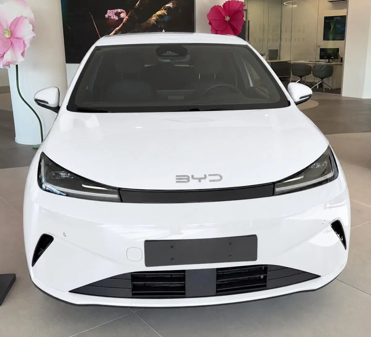 Byd Dolphin G DM-i nuova a Bologna (3)