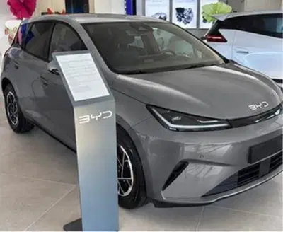 Byd Dolphin G DM-i 1.5 phev Active 175cv nuova a Castenaso