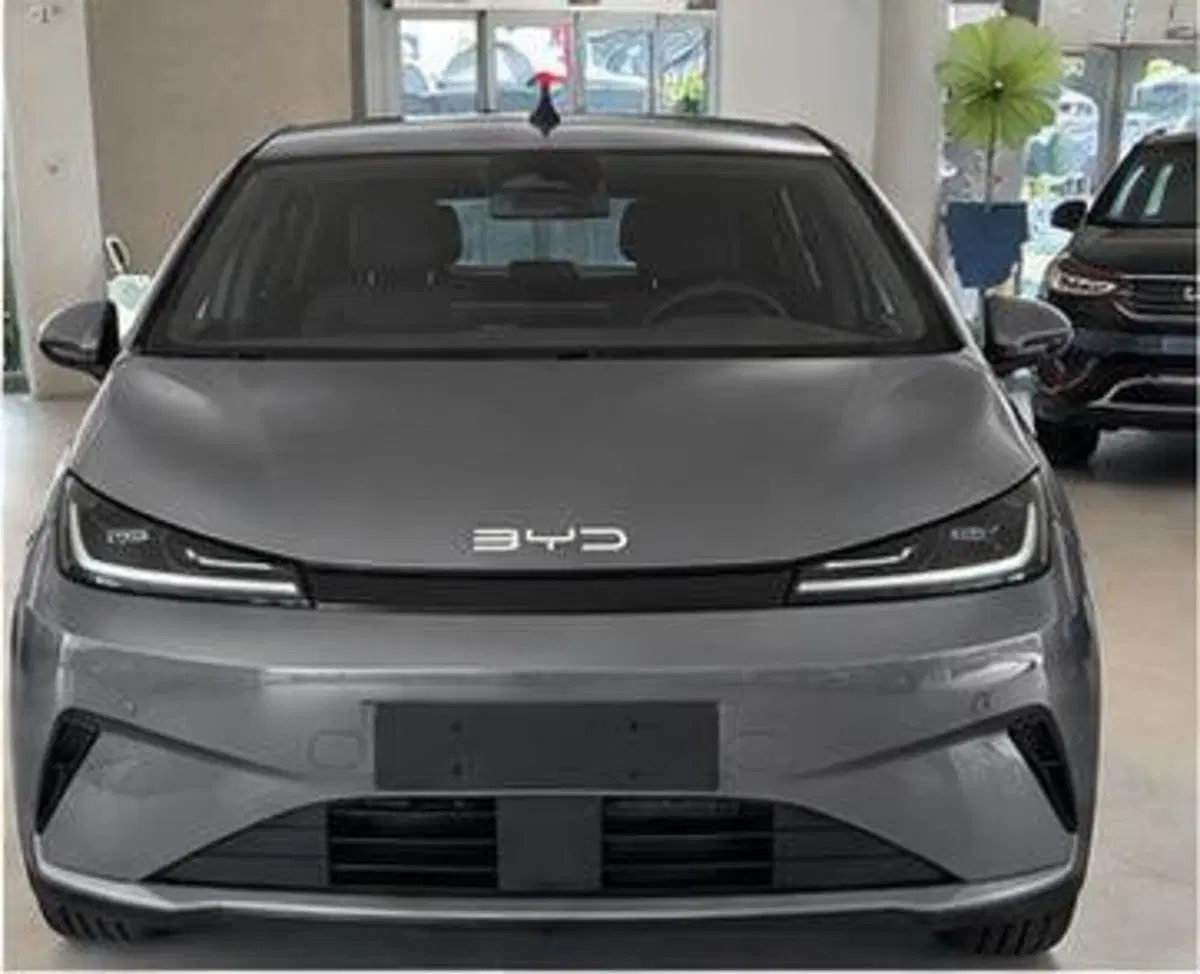 Byd Dolphin G DM-i nuova a Bologna (2)