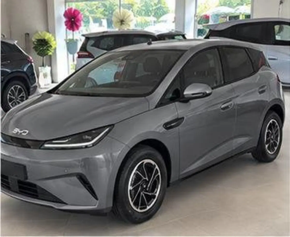 Byd Dolphin G DM-i nuova a Bologna (3)