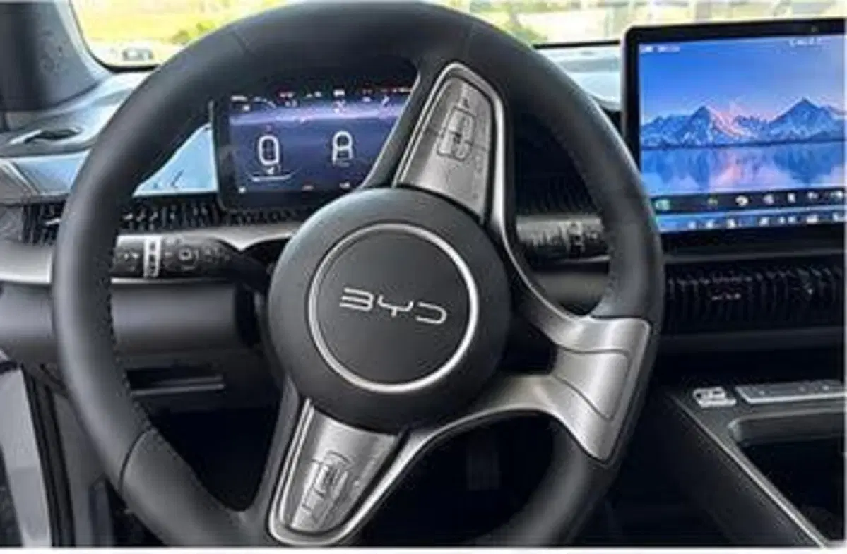 Byd Dolphin G DM-i nuova a Bologna (9)