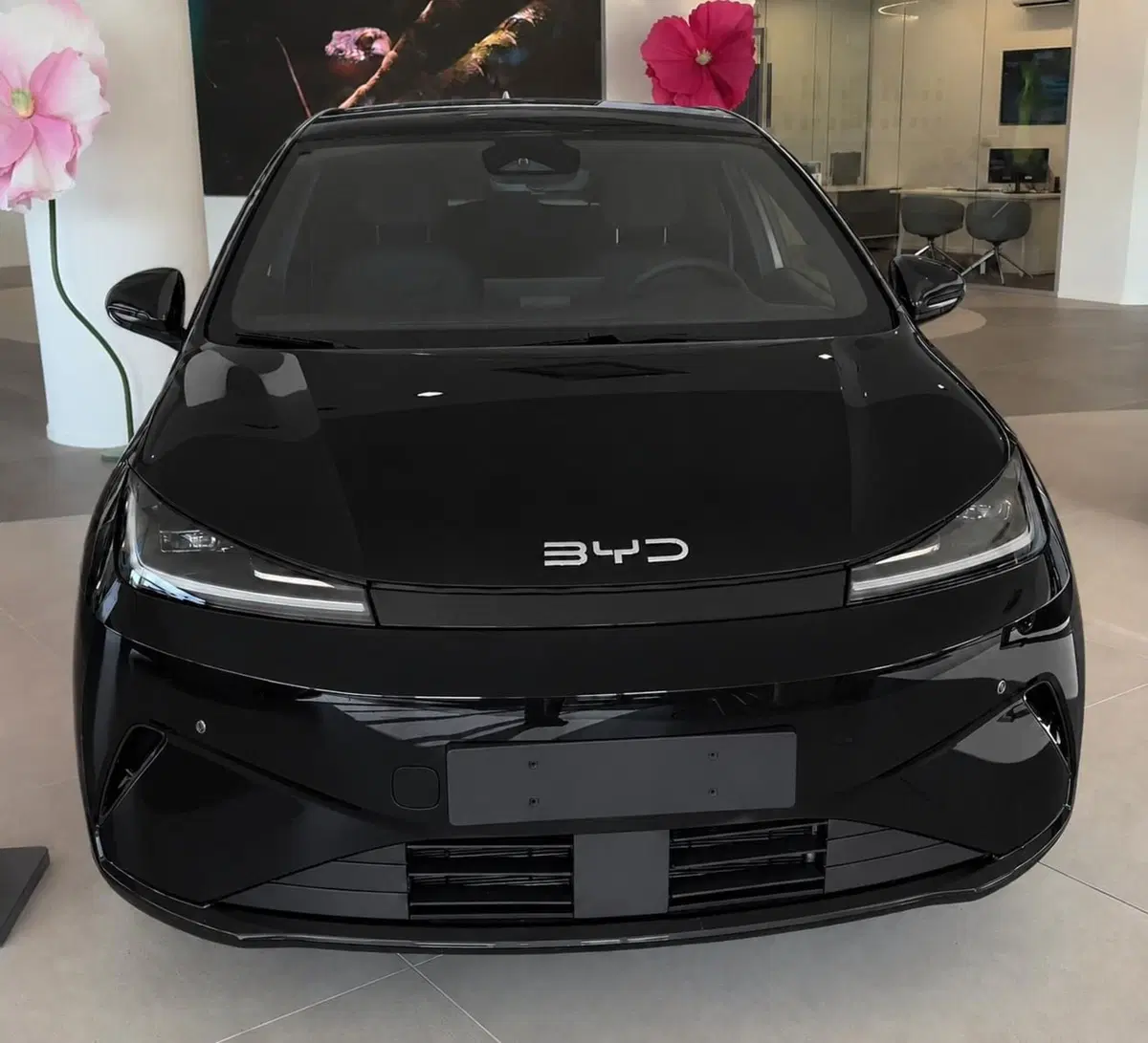 Byd Dolphin G DM-i nuova a Bologna (3)