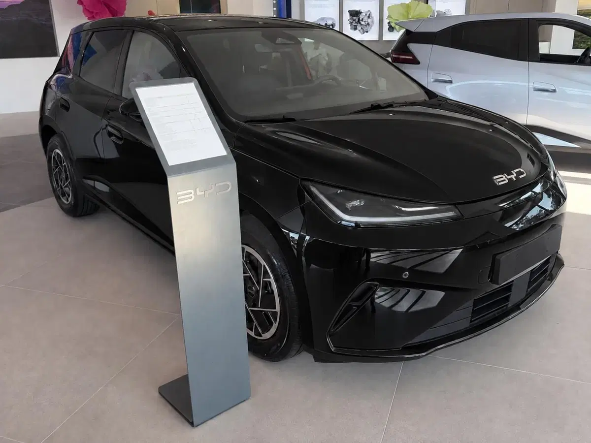 Byd Dolphin G DM-i nuova a Bologna (3)