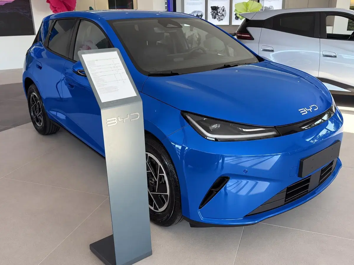 Byd Dolphin G DM-i nuova a Bologna