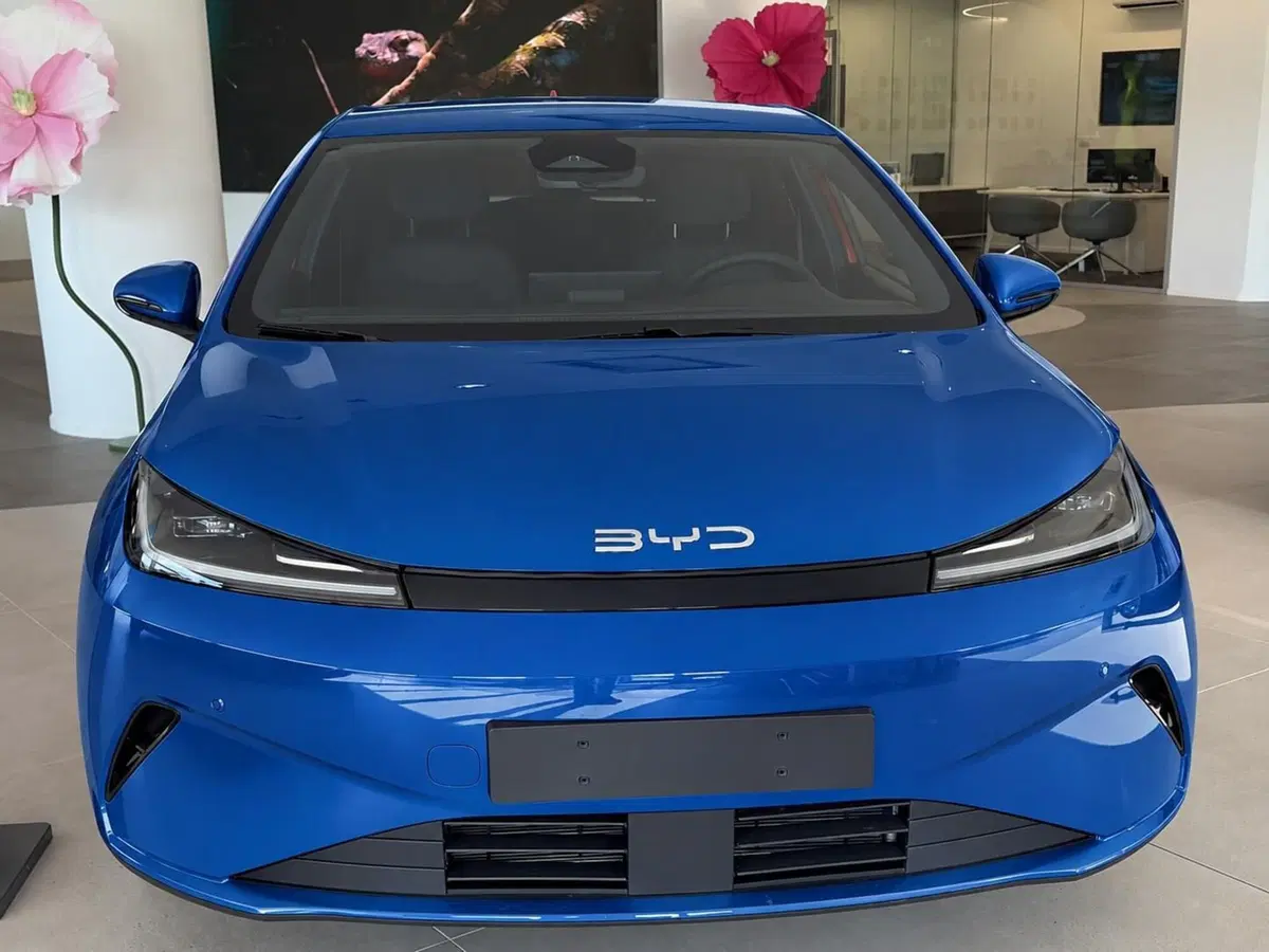 Byd Dolphin G DM-i nuova a Bologna (2)
