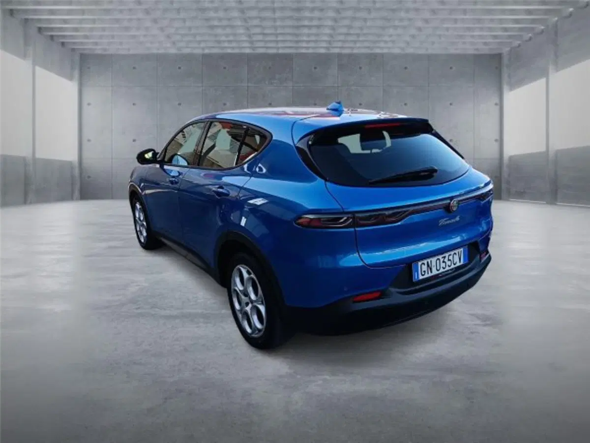 Alfa Romeo Tonale usata a Bari (4)