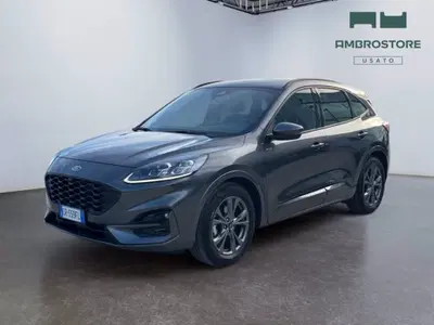 Ford Kuga 2.0 EcoBlue 120 CV aut. 2WD ST-Line X del 2023 usata a Segrate