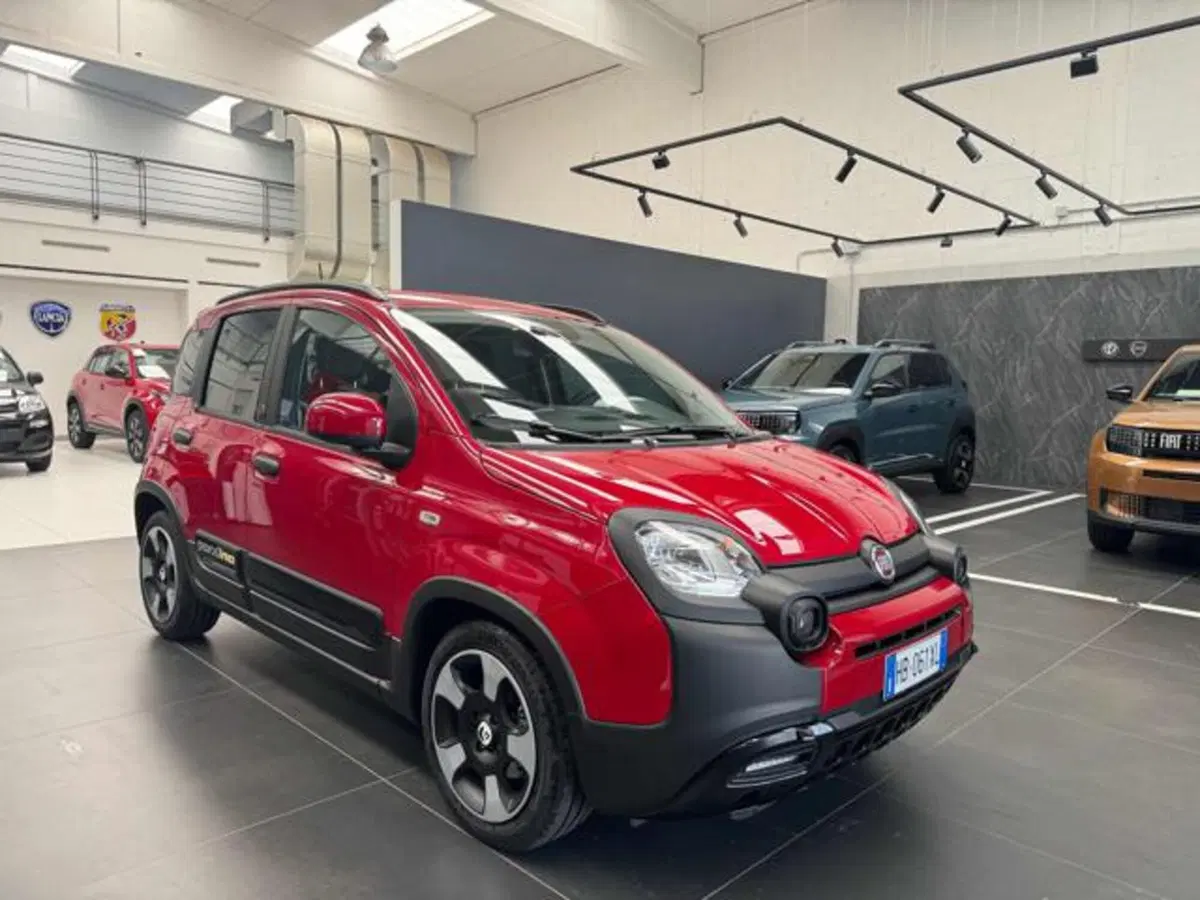 Fiat Panda Cross usata a Vercelli
