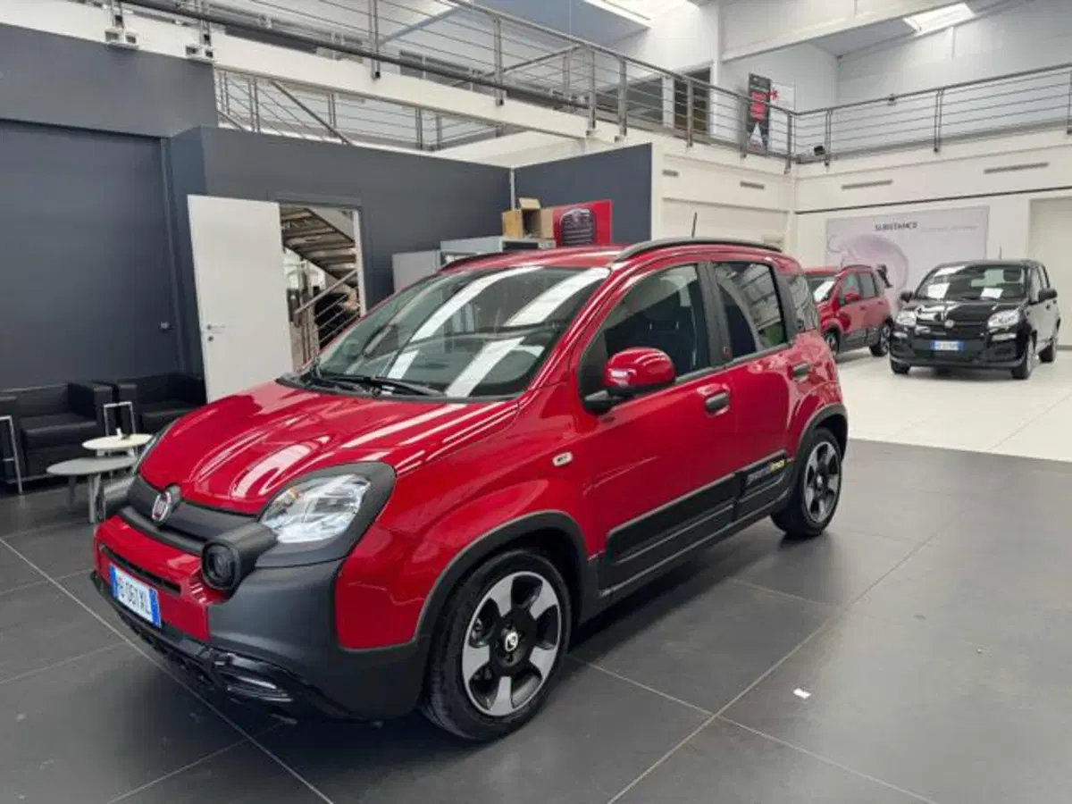 Fiat Panda Cross usata a Vercelli (3)