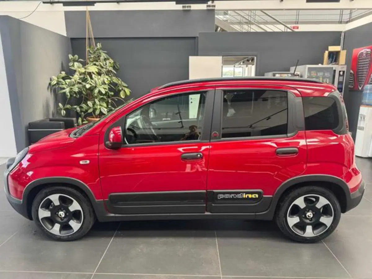 Fiat Panda Cross usata a Vercelli (4)