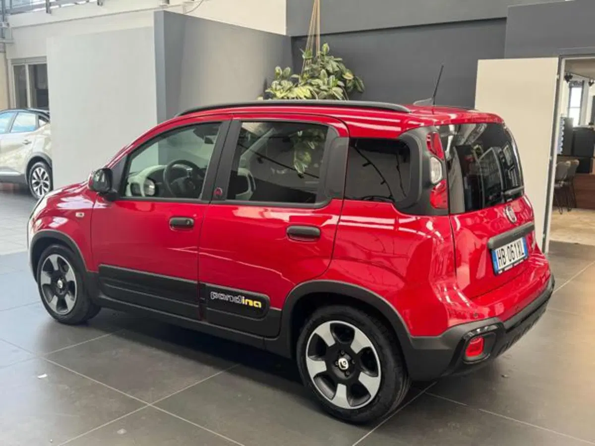 Fiat Panda Cross usata a Vercelli (5)