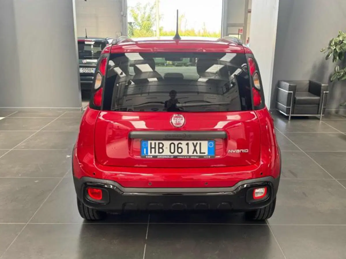 Fiat Panda Cross usata a Vercelli (6)