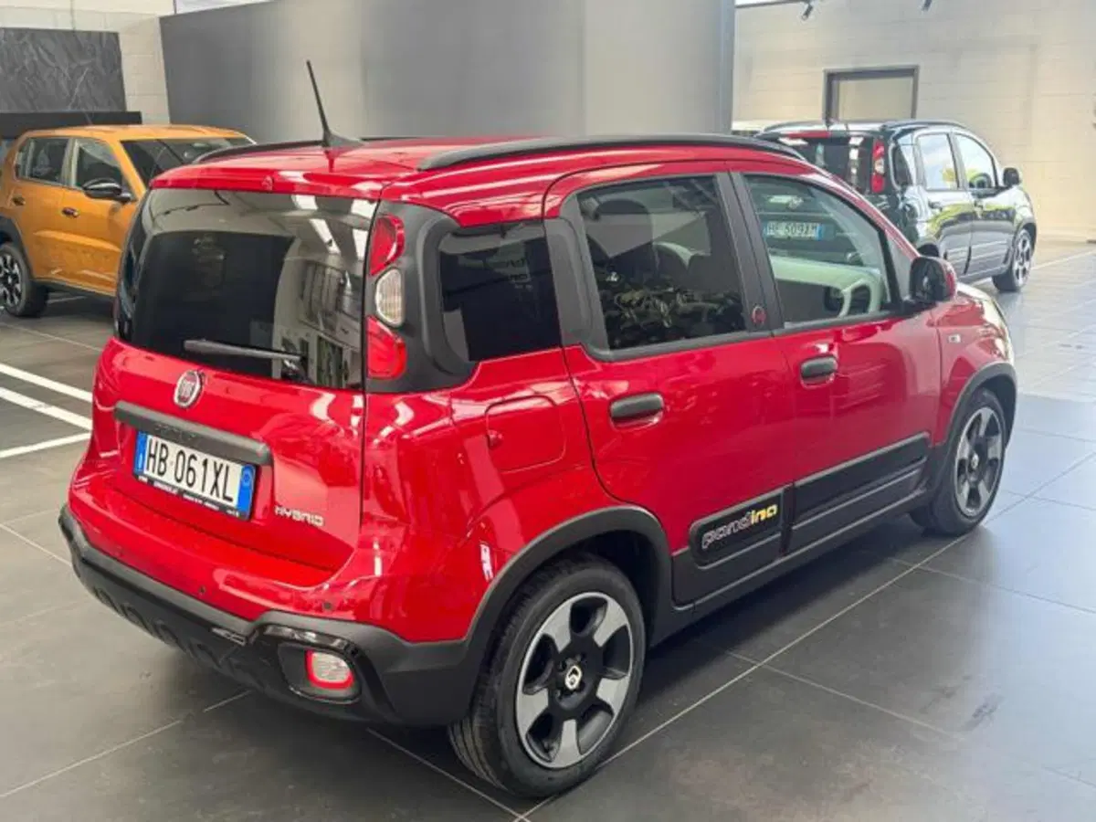 Fiat Panda Cross usata a Vercelli (7)