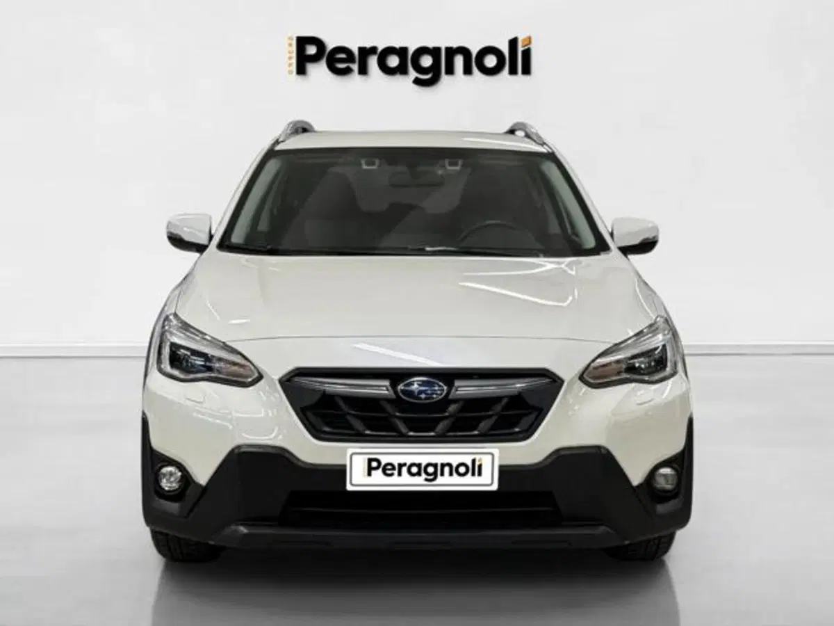 Subaru XV usata a Firenze (2)
