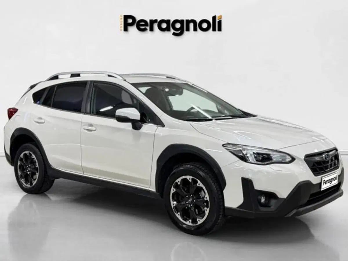 Subaru XV usata a Firenze (3)