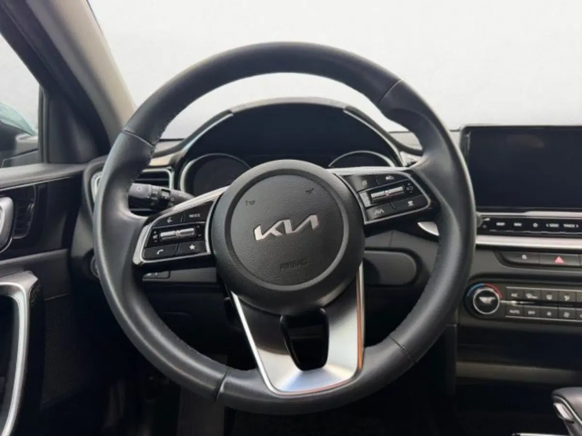 Kia XCeed usata a Udine (11)