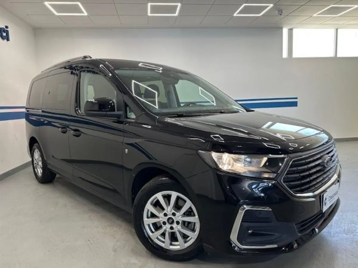 Ford Tourneo Connect usata a Prato (4)