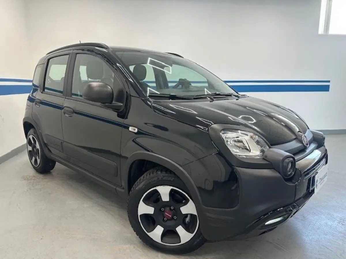 Fiat Panda Cross usata a Prato (3)