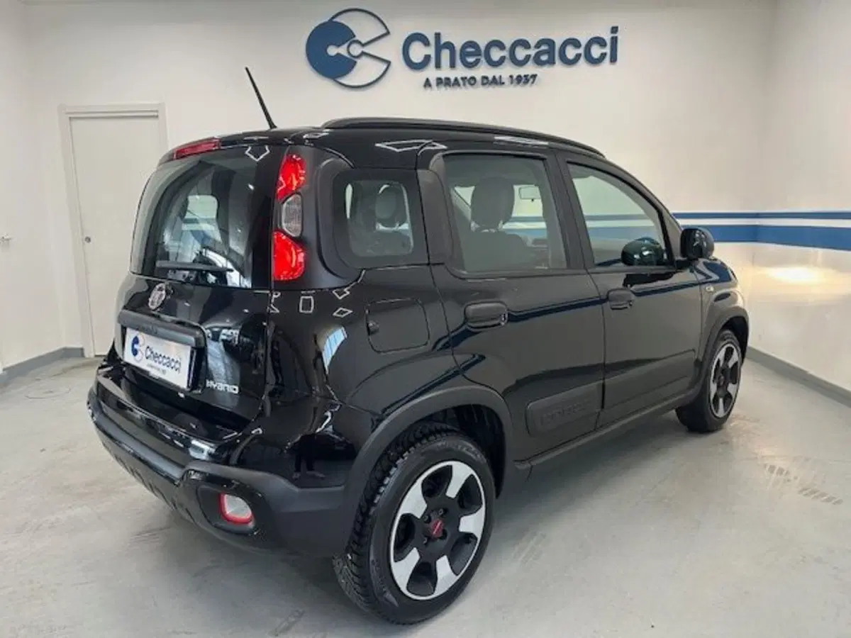 Fiat Panda Cross usata a Prato (6)