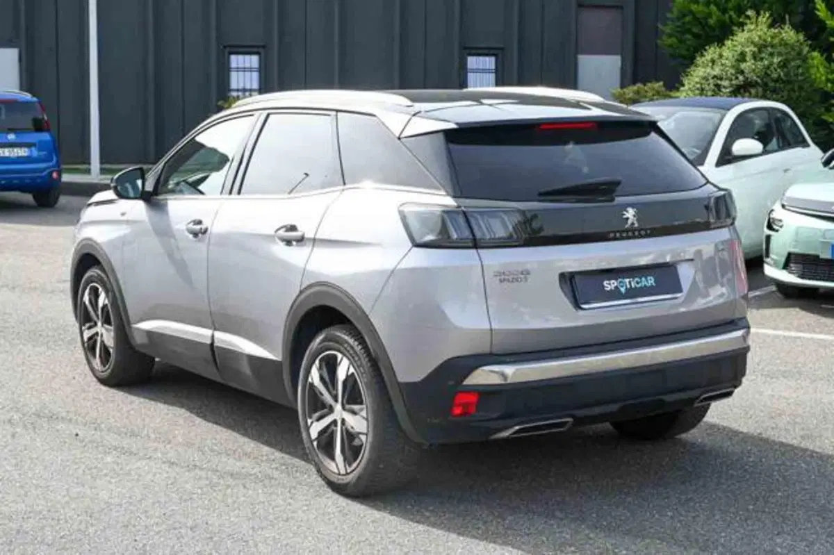 Peugeot 3008 usata a Torino (4)