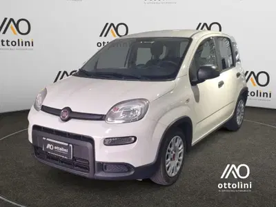 Fiat Panda Cross Cross 1.0 FireFly S&S Hybrid del 2024 usata a Cagliari