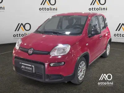 Fiat Panda Cross Cross 1.0 FireFly S&S Hybrid del 2024 usata a Cagliari
