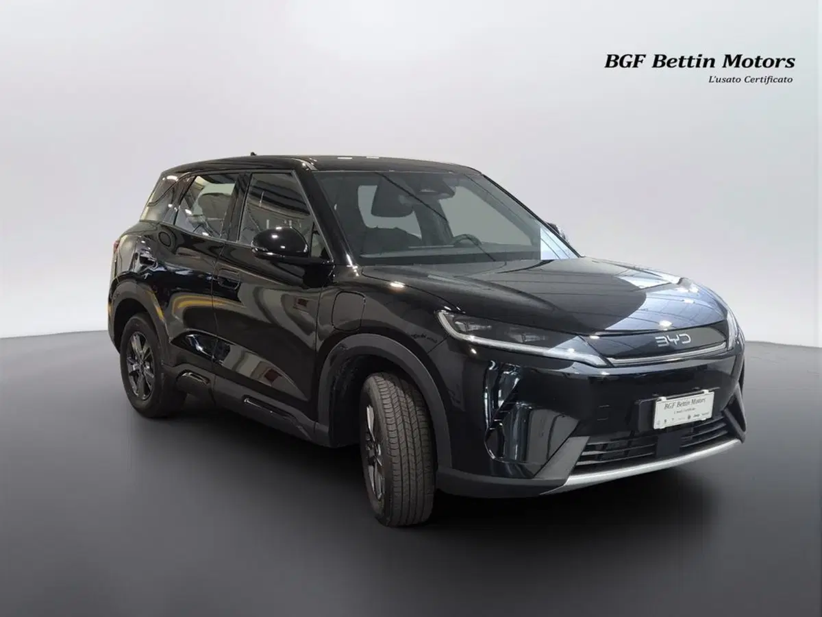 Byd Atto 2 DM-i nuova a Padova (4)