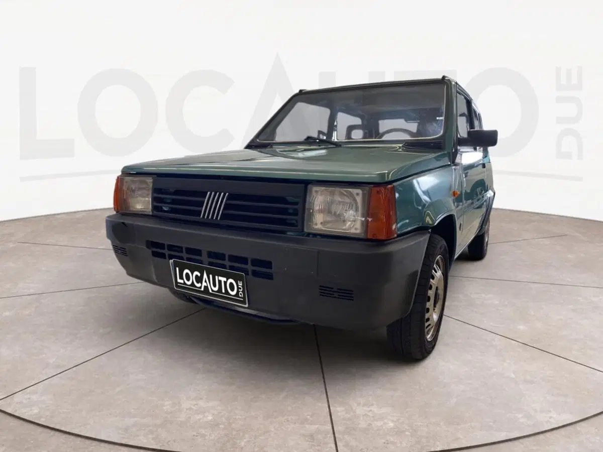 Fiat Panda usata a Torino
