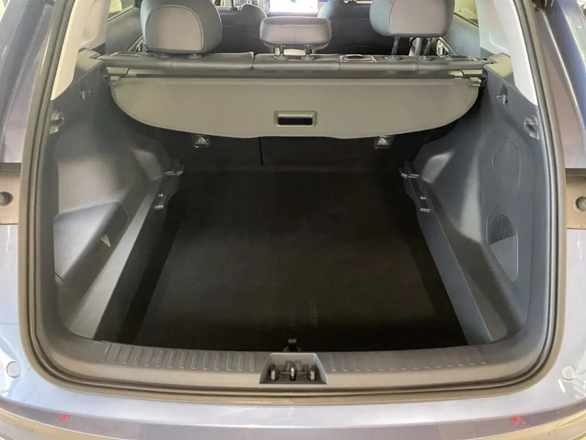 Geely Starray nuova a Torino (9)