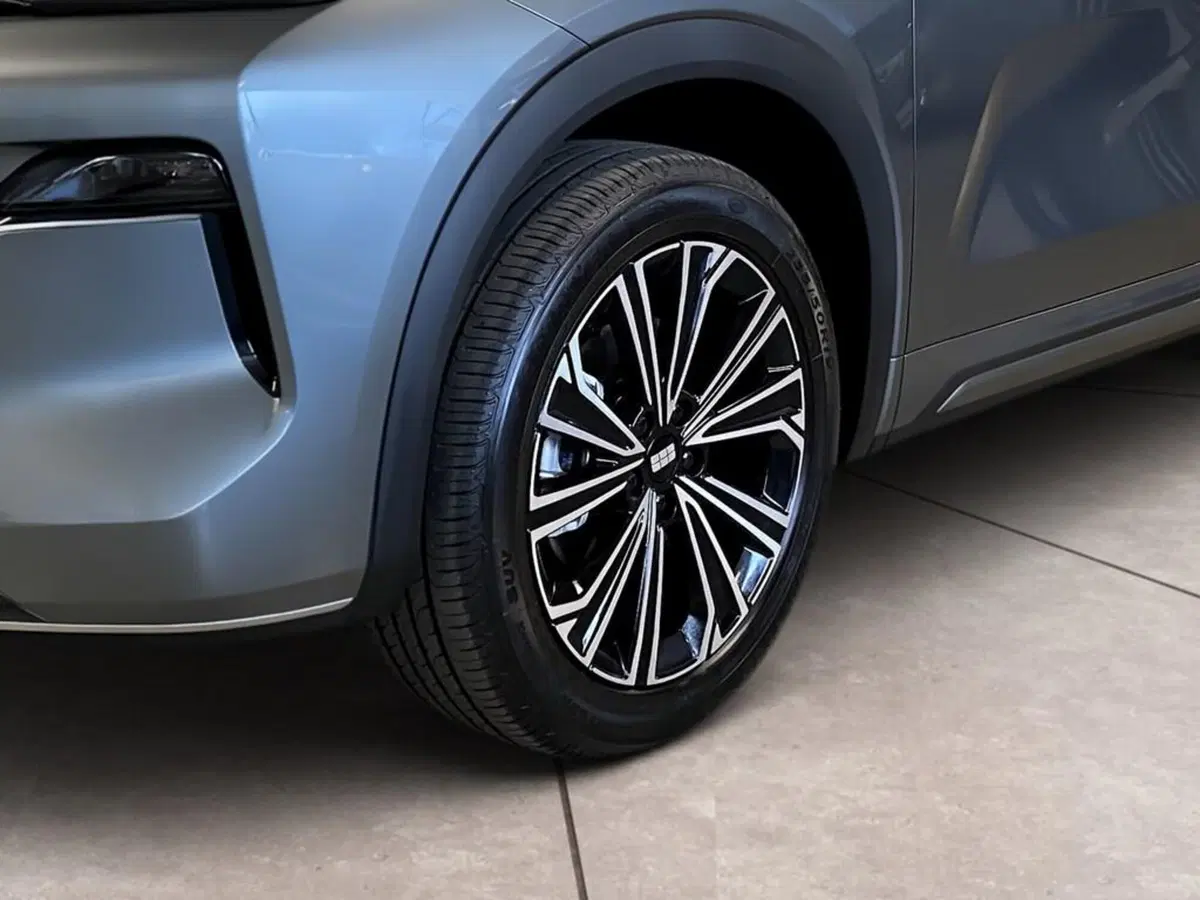 Geely Starray nuova a Torino (15)