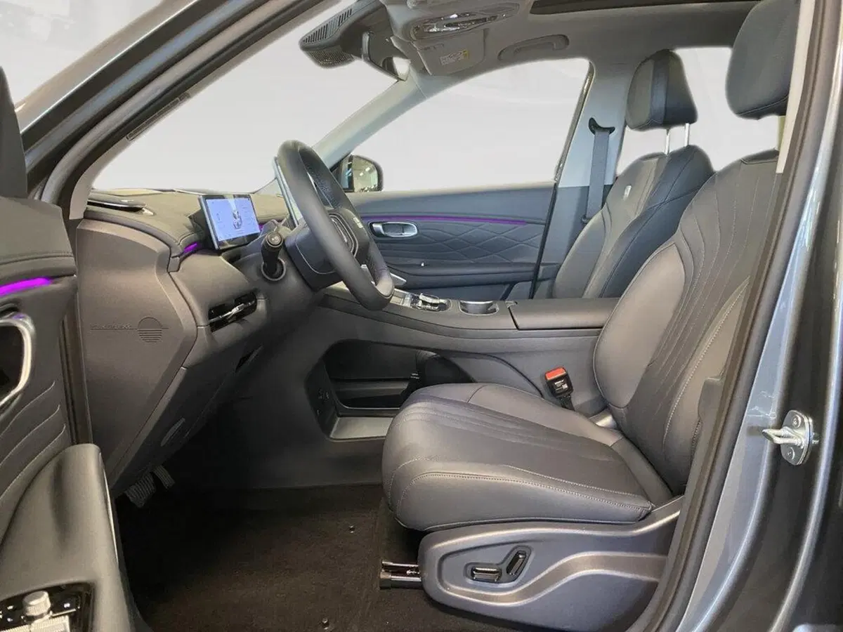 Geely Starray nuova a Torino (7)