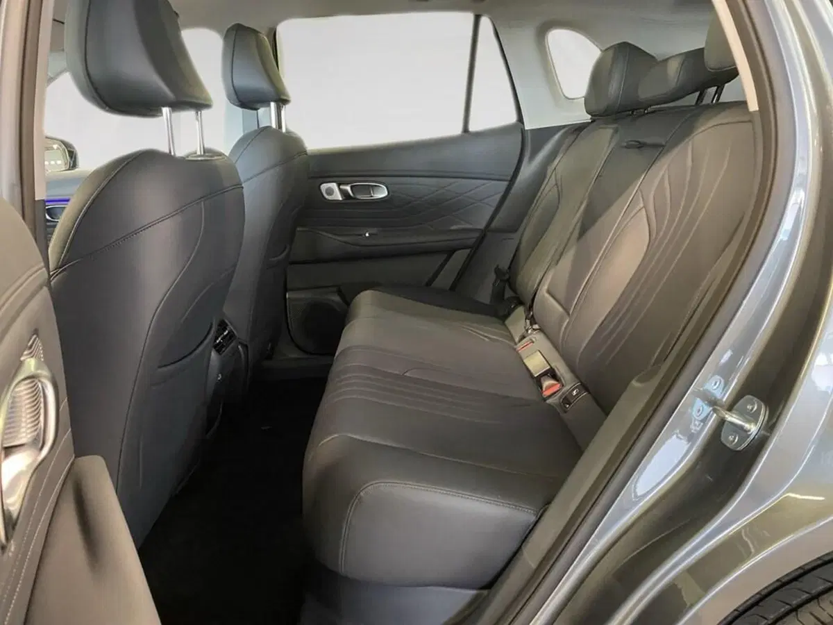 Geely Starray nuova a Torino (8)