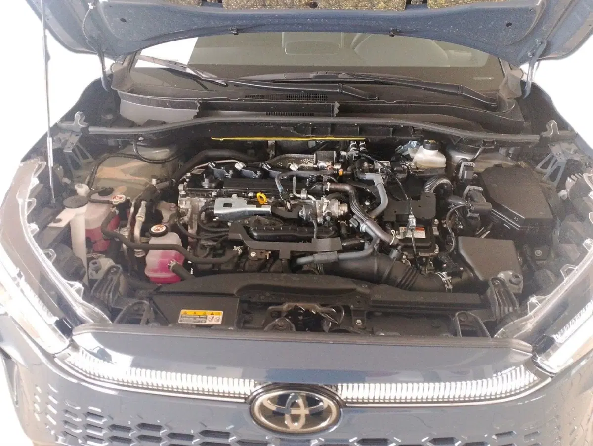 Toyota Corolla Cross usata a Lecce (13)