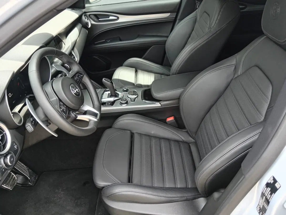 Alfa Romeo Stelvio usata a Alessandria (11)