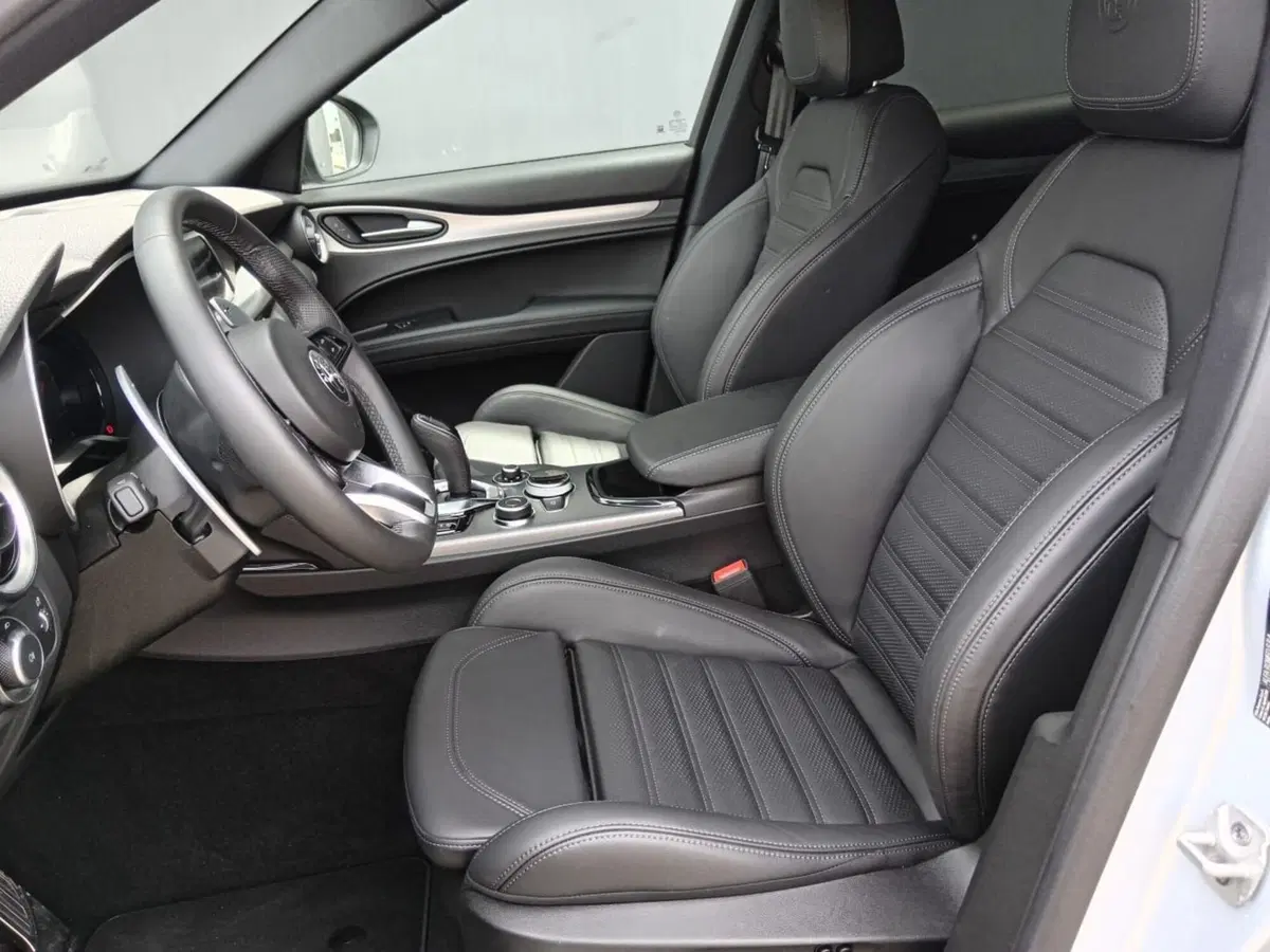 Alfa Romeo Stelvio usata a Alessandria (12)