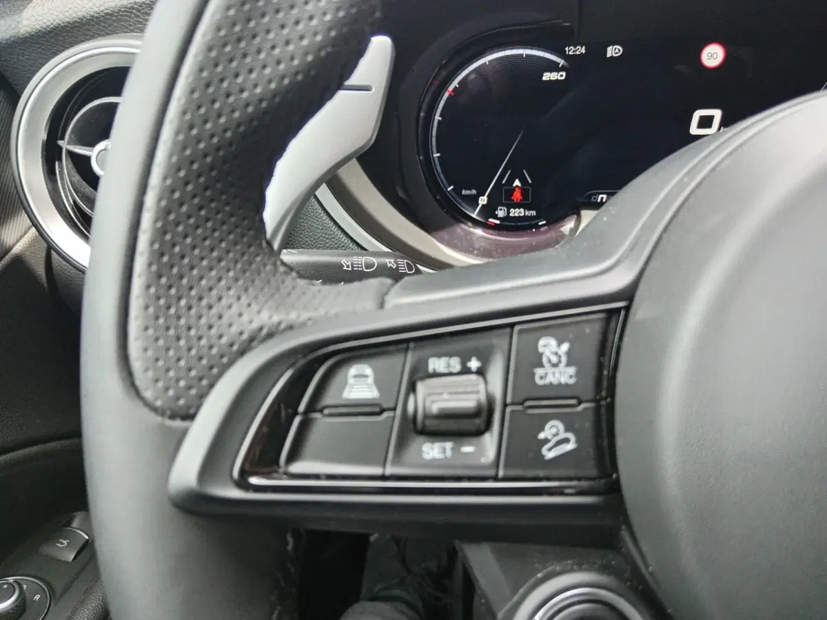 Alfa Romeo Stelvio usata a Alessandria (14)