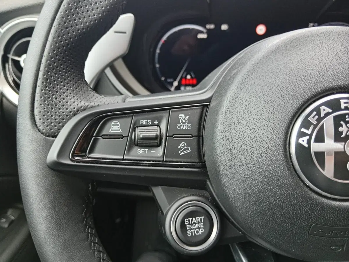 Alfa Romeo Stelvio usata a Alessandria (15)