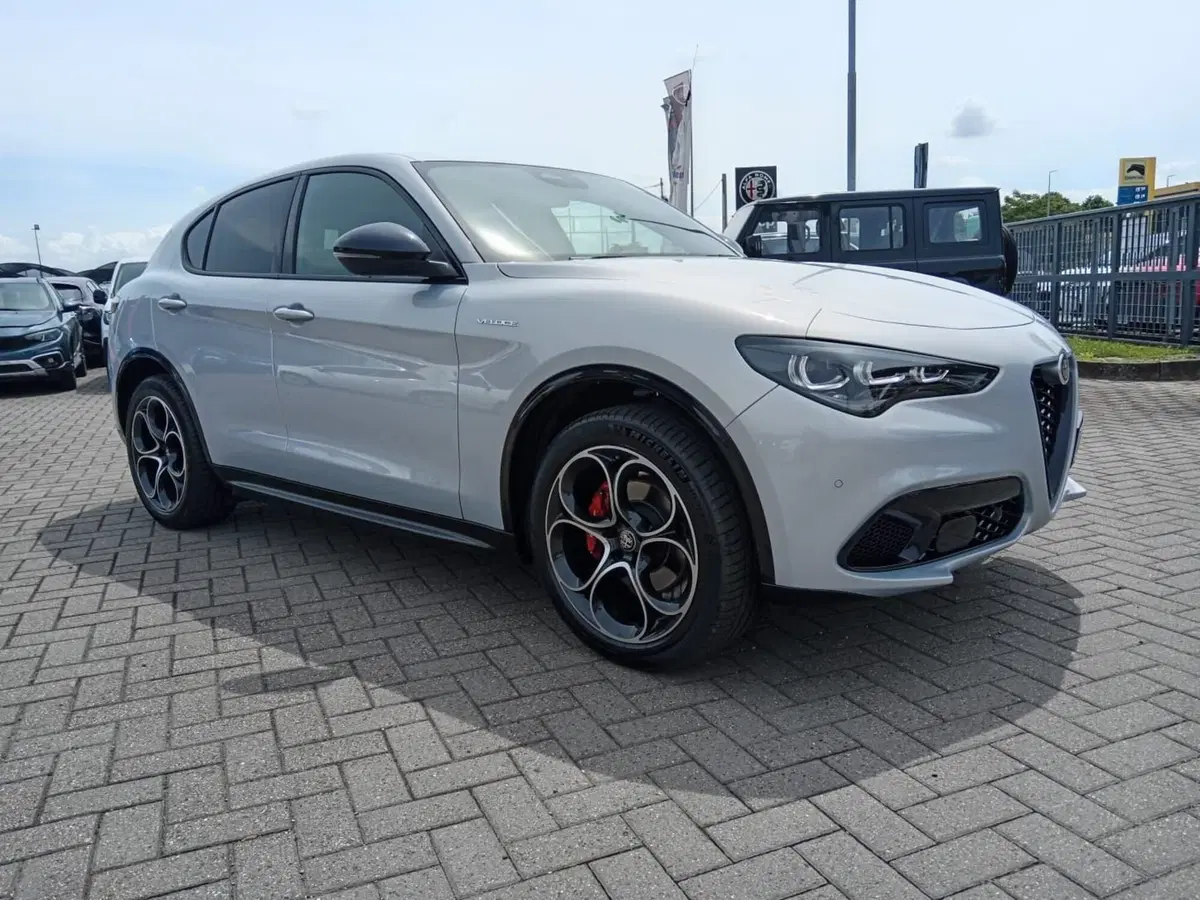 Alfa Romeo Stelvio usata a Alessandria (3)