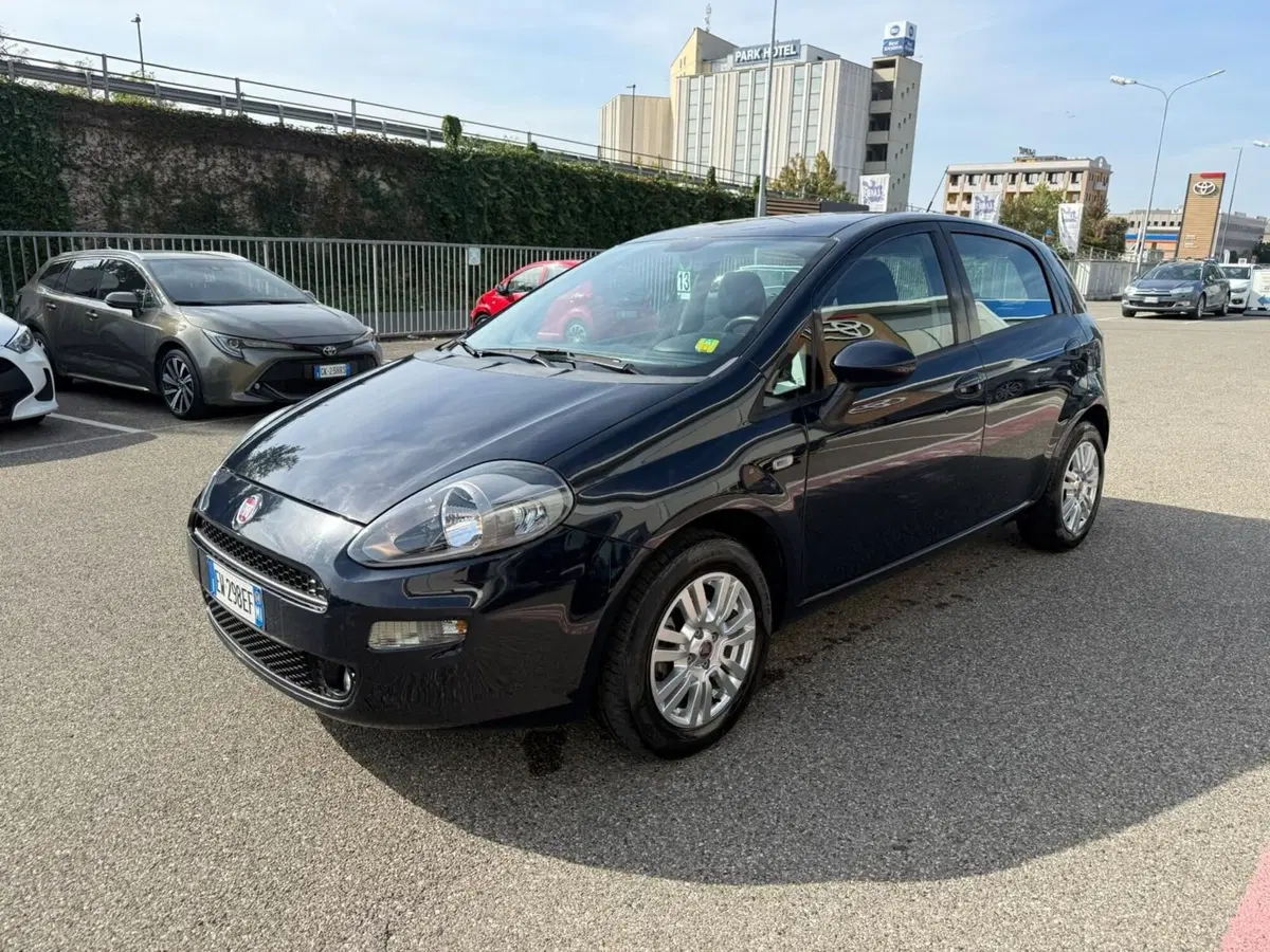 Fiat Punto usata a Piacenza