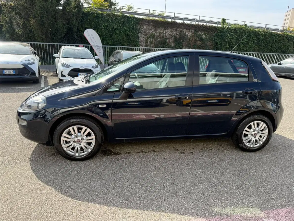 Fiat Punto usata a Piacenza (2)