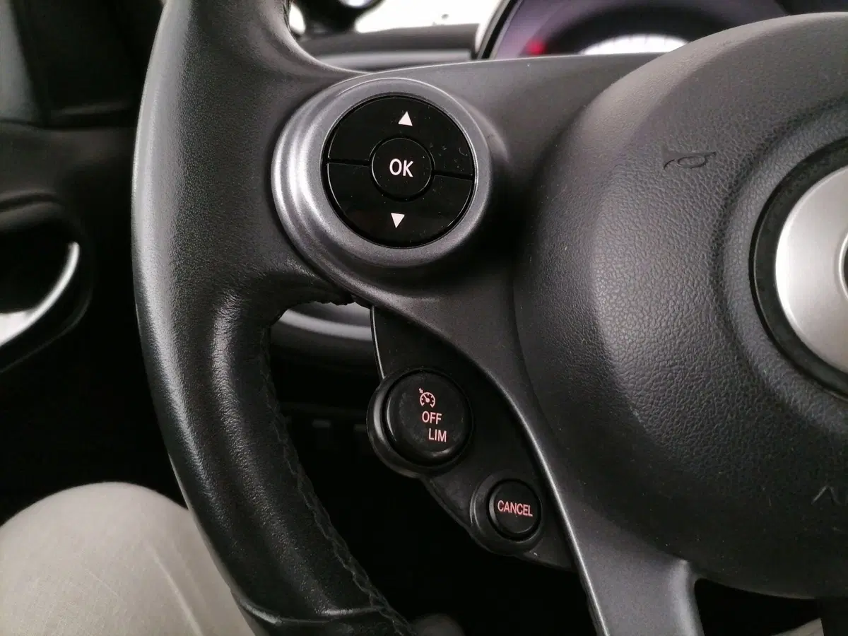 smart forfour usata a Roma (20)