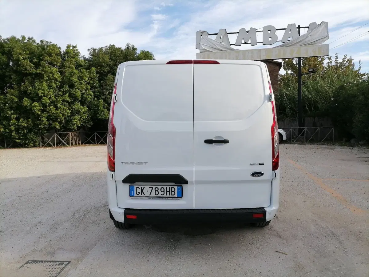 Ford Transit Custom Furgone usata a Roma (4)