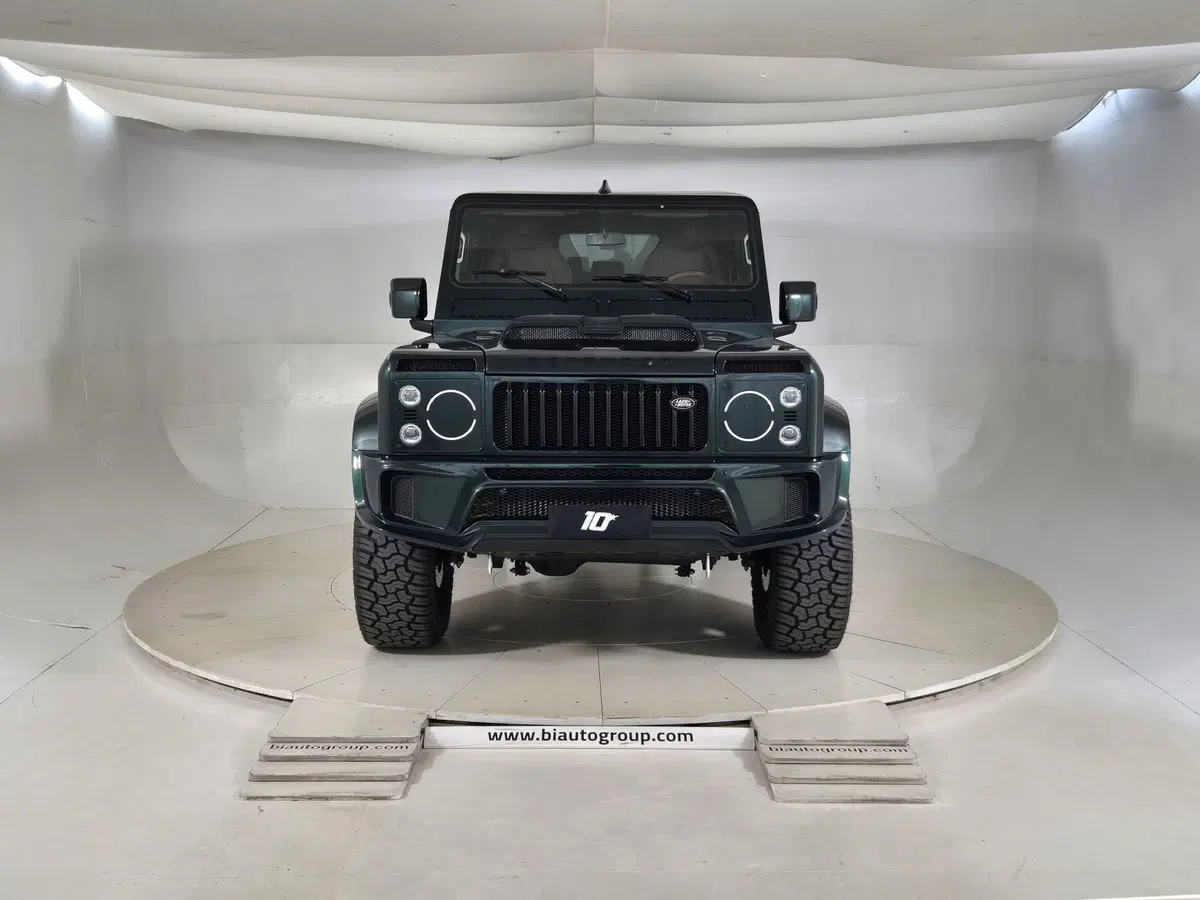 Land Rover Defender usata a Torino (2)