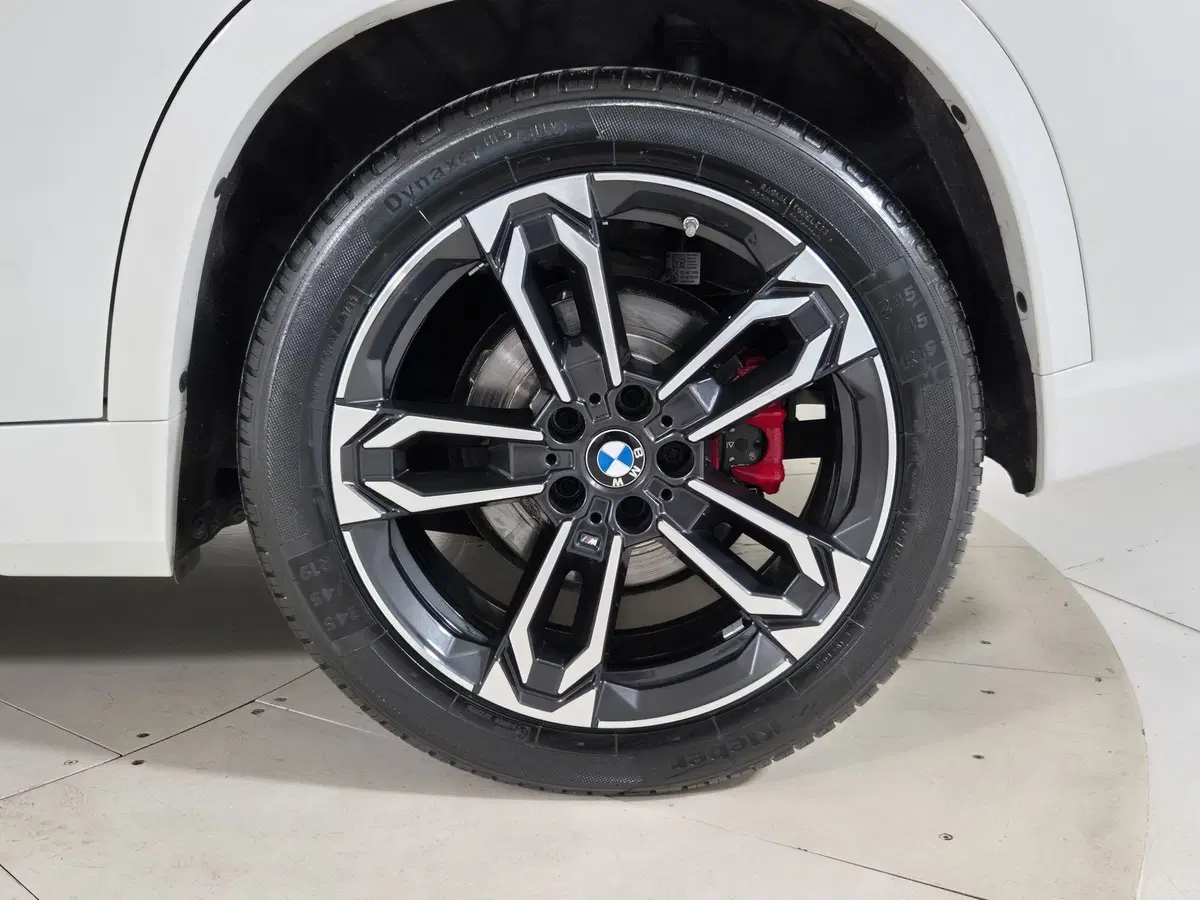 BMW X1 usata a Torino (15)