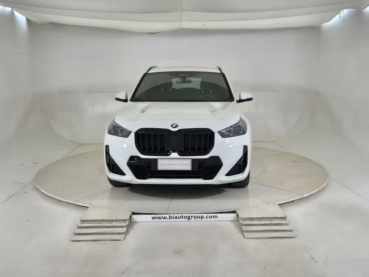 BMW X1 usata a Torino (3)